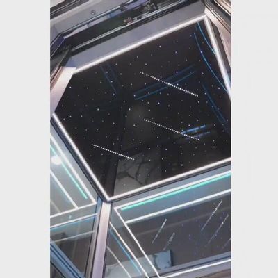 カイアント トラクション ホーム エレベーター VVVF コントロール ギアレス ss キャビン エレベーター 1 年間の保証