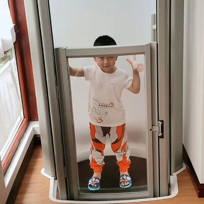 ガラスキャプセルリフト 400KG 小さなキャプセルリフト 自律ドア付きの家庭用