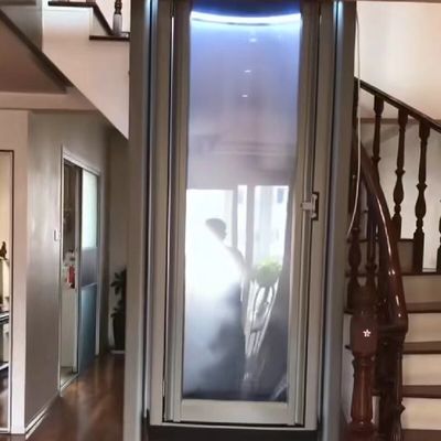 マイクロプロセッサベースの水力ガラスカプセルリフト 2人用サイズ