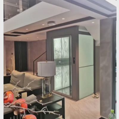 ヴィラ トラクション 安全なホーム エレベーター 0.6 M/S シングル / 三相電源